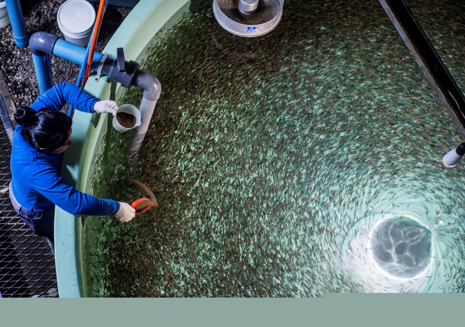 養(yǎng)殖場(chǎng)12